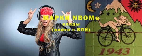 дурь Алексин