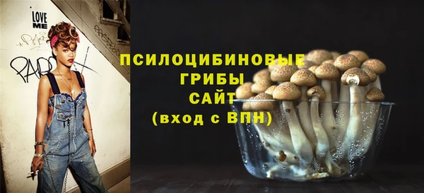 дживик Алзамай