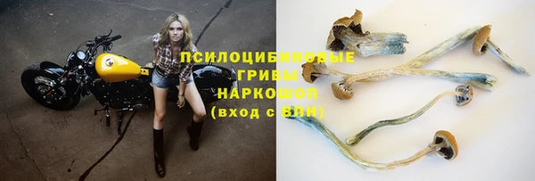 дурь Алексин