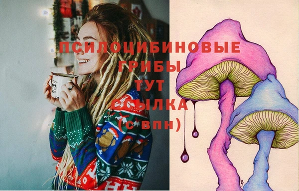 дживик Алзамай