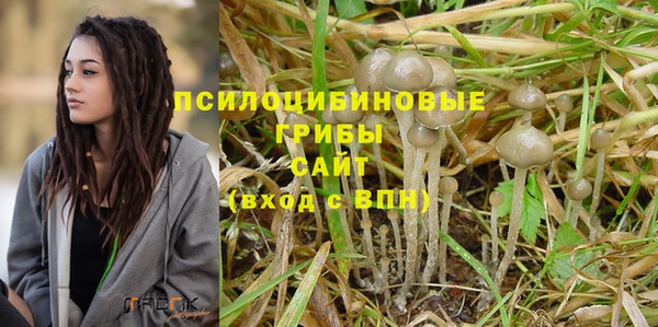 дурь Алексин