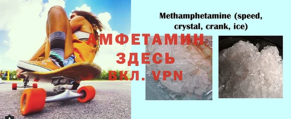 прущие грибы Нефтекумск