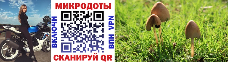 Галлюциногенные грибы мицелий  где можно купить наркотик  Петрозаводск 